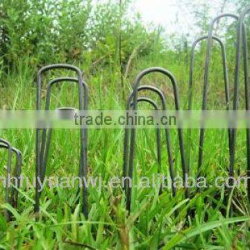 hot-dipped galvanized U-shaped landscape staple for garden