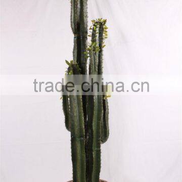 SJ3001107Ornamental Artificial Green Cactus Plants photo-6