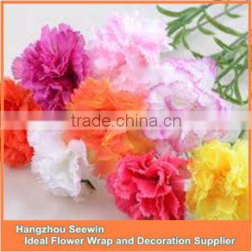 hot saling new design artificial carnations flower