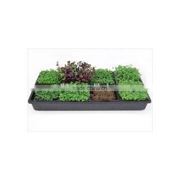 Custom Made Thermoformed Hydroponics Rectangular Nursery Plant Tray