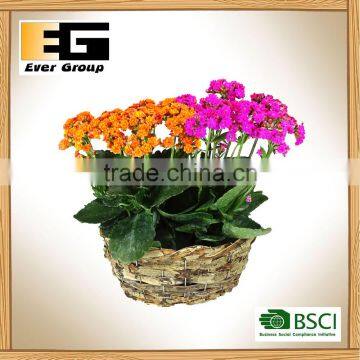 Round Natural Rattan Basket for Garden Planter photo-6