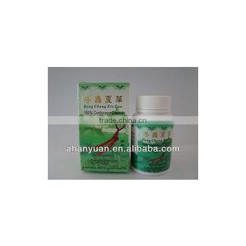 Cordyceps capsule , Cordyceps extract capsule, OEM Service