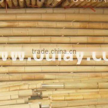 Raw bamboo poles sticks cheap tutor canes