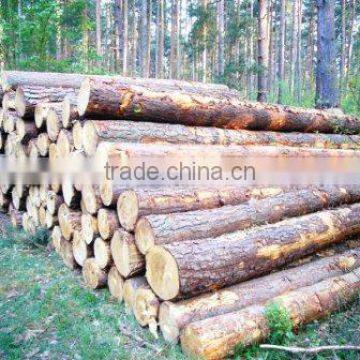 Wooden Logs