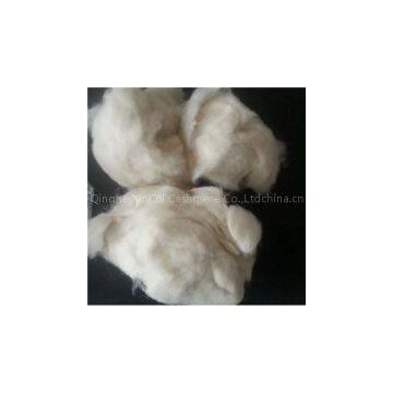 Baby Sheep Wool Waste