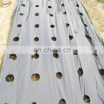 High Quality Agriculture Plastic Mulch Film Punch Hole