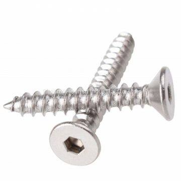 Countersunk Hex Head Stainless Steel Self Tapping Screw