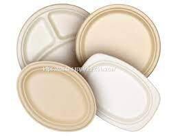 23cm Biodegradable Disposable microwavable Sugarcane pulp bagasse plates factory wholesale 9 inch