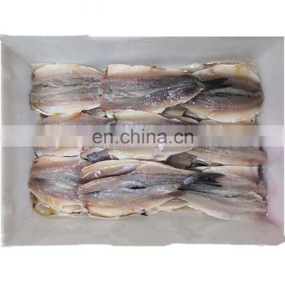 Good price block frozen anchovy fish fillet boneless