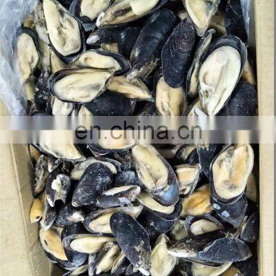 Frozen Half Shell Mussels Half Shell Mussel Meat Mytilus Edulis
