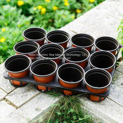 Nursery Tray Holder Nursery Plants Tray Holder Phalaenopsis Tray Planter Nursery Pot Bracket photo-2