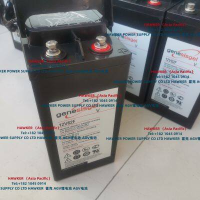 Enersys 12TD170FT Battery Genesis TD 12V170Ah photo-2