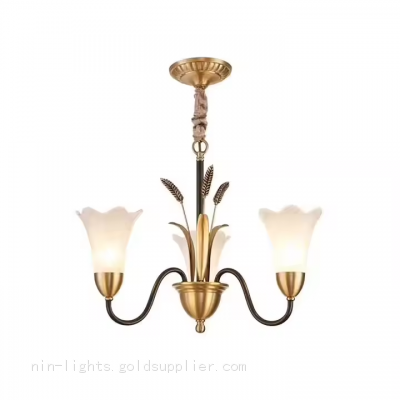 Modern European Style Living Room Bedroom Chandelier Fixture