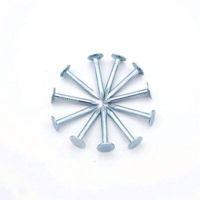 Q195 Steel Felt Clout Nails for Roofing Felt With Large Head Design photo-5
