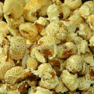 Fully-automatic Core Filling Puffed Twin Screw Extruder Processing Machinery Snack Food Making Machine