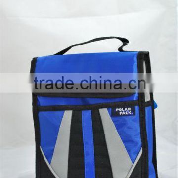 Various design carrying cooler bag