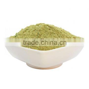 GradeOne Bermuda Grass(Cynodon dactylon) Powder For Sales