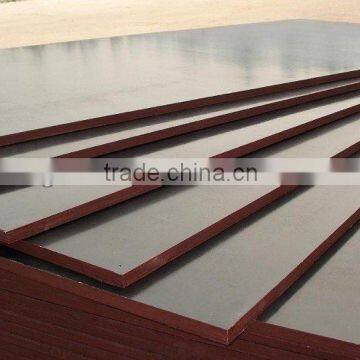 Cheap Price Black Film Faced Plywood Linyi Factory photo-3