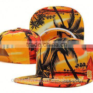 Custom snapback hats wholesale/snapback cap/flat brim metal plate snapback cap