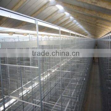 Poultry farm automatic broiler breeder cages