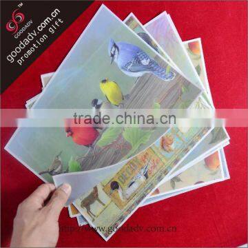 High quality woven placemat/PP Round placemat/woven plastic placemat/coaster