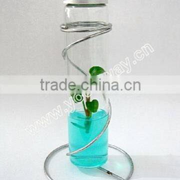 Finger flower,mini Plant,novelity product