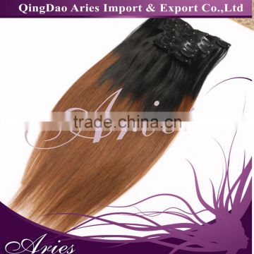 Ombre Color Remy Human Hair Clip in Hair Extension 20" Full Head