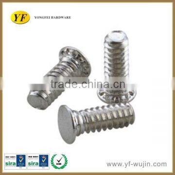 Special Stainless Steel Screw