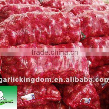 Fresh Red Onion in 20kg mesh bag