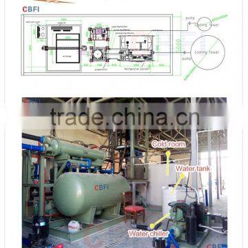 Iran 20 Tons Client Cases Tube Ice Maker Machine Ice Plant Operate photo-2