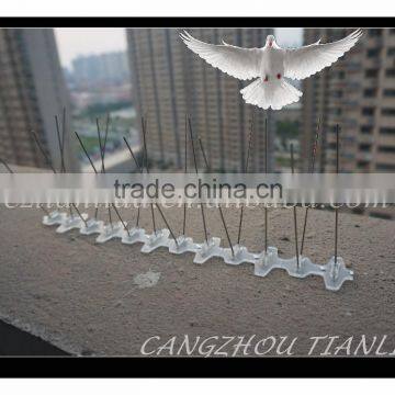 Niusance Bird Control Products Anti Bird Spikes,Stainless Steel Bird Spike---TLD5004W3-33