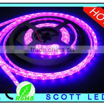 2014 promotion !rgb smd 3528 led light 12v 240led ip65 flexible strip led/ rgb smd 3528 led light