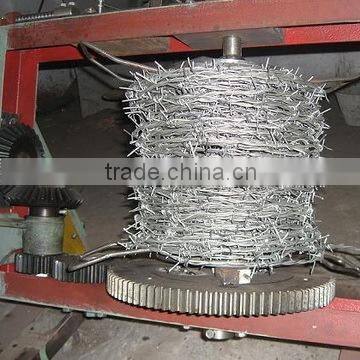 galvanized barbed wire