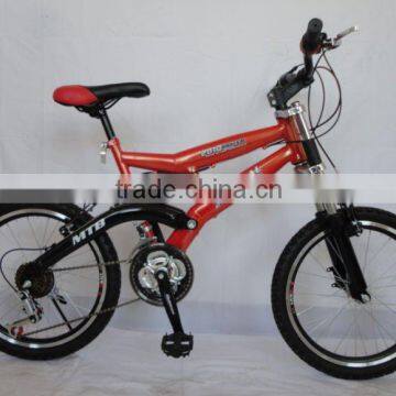 20"MTB Boy bike