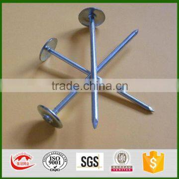 High quality sale electro galvanized Umbrella Roofing Nail