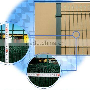 Welded Wire Mesh( real factory)