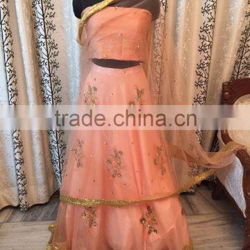 Indian Lehenga Choli with hand work