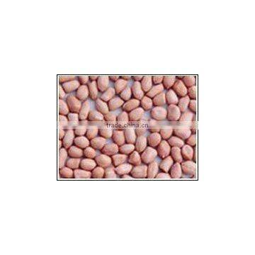 2015 new crop best quality hot sale wholesale blanched peanuts specification