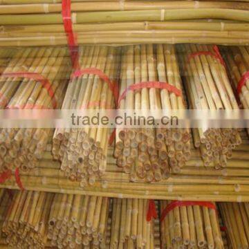 Good Quality Raw Bamboo Poles and Hot Sale Best Quality Hydroponic Bamboo Poles