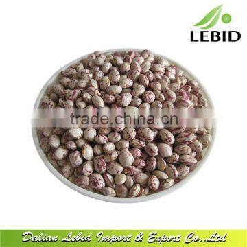 2016 New Crop High quality xinjiang light speckled kidney beans