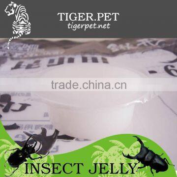 New Products Assorted Pudding Cup Jelly photo-2