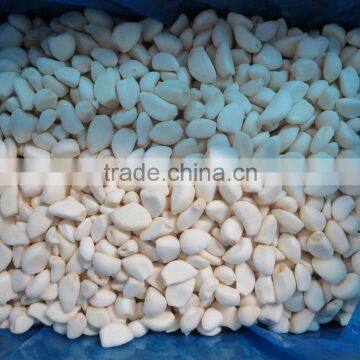 IQF frozen garlic clove