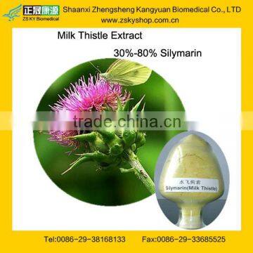 GMP Factory Supply Free Sample Milk Thistle Extract