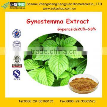 Herbal Medicine Gynostemma Pentaphyllum Extract