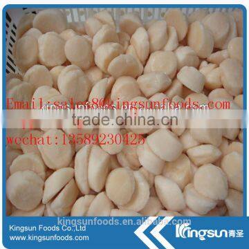 Frozen Sea Scallop on Hot Sale photo-3