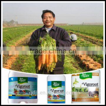 Seaweed organic root fertilizer