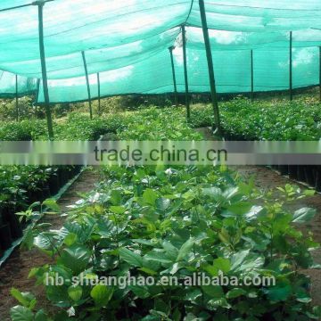 low cost agricultural greenhouses