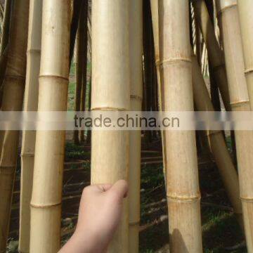 Eco-friendly Cheap Grabbing Bamboo Pole for Support photo-2
