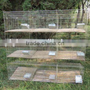 Electro Galvanized Wire Steel Pet Cage / Wire Rabbit Cage photo-2