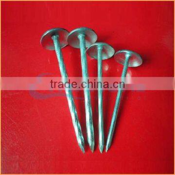 Top Quality Plastic Washers for Roofing Nails Trusted Chuanghe Suppliers From Com photo-2